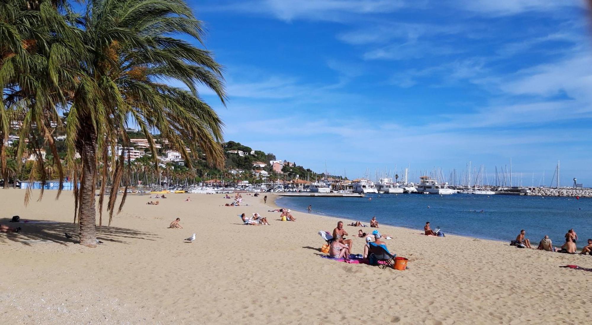 T2 Terrasse, Bormes Les Mimosas La Faviere, 5 Pers, 5 Mn A Pieds Des Plages Et Commerces Exterior foto